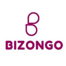 domain for e-commerce company | Bizongo.xyz is on sale | brandbrahma