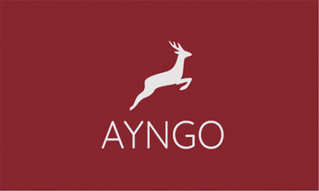 AYNGO.COM