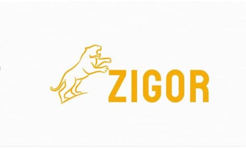 Captivating Fashion Brand Name - Zigor.in | BrandBrahma.com