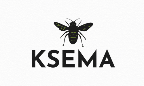 Top security startup name - Ksema.in is on sale | BrandBrahma