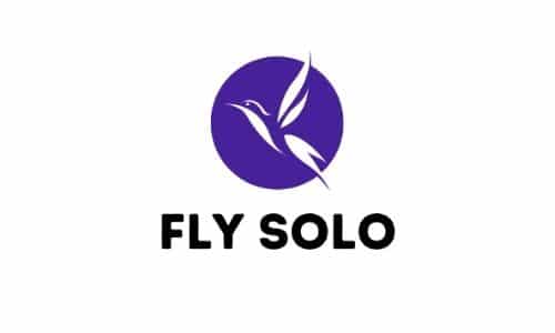 flysolo.in - independence and adventure name | BrandBrahma