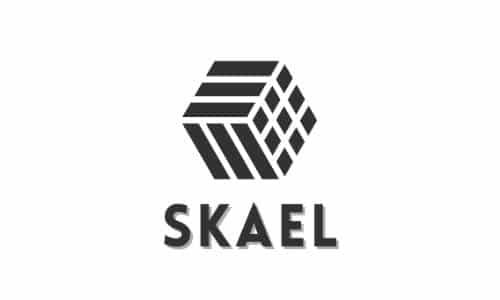 contextual domain for tech startups | SKAEL.XYZ on sale | BrandBrahma