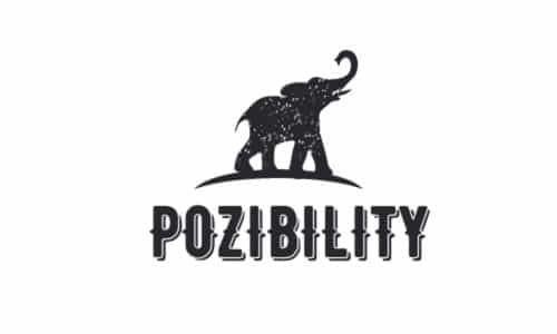 Emerging tech domain name | POZIBILITY.COM | brandbrahma